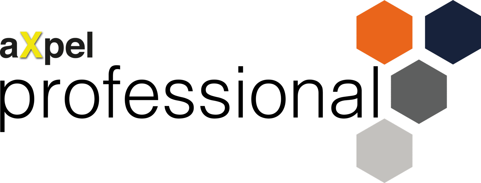 axpel professional (1)